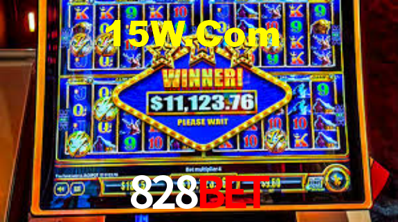 828bet App Interface